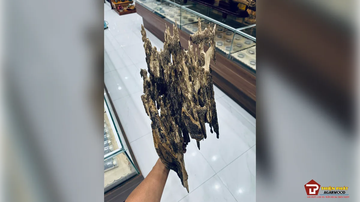 Khối kỳ nam, trầm xưa quý hiếm Khối kỳ nam, trầm xưa quý hiếm – các loại kỳ nam