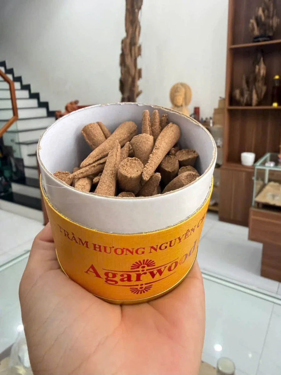 Nụ trầm hương từ cây gió bầu – cây gió bầu có tác dụng gì