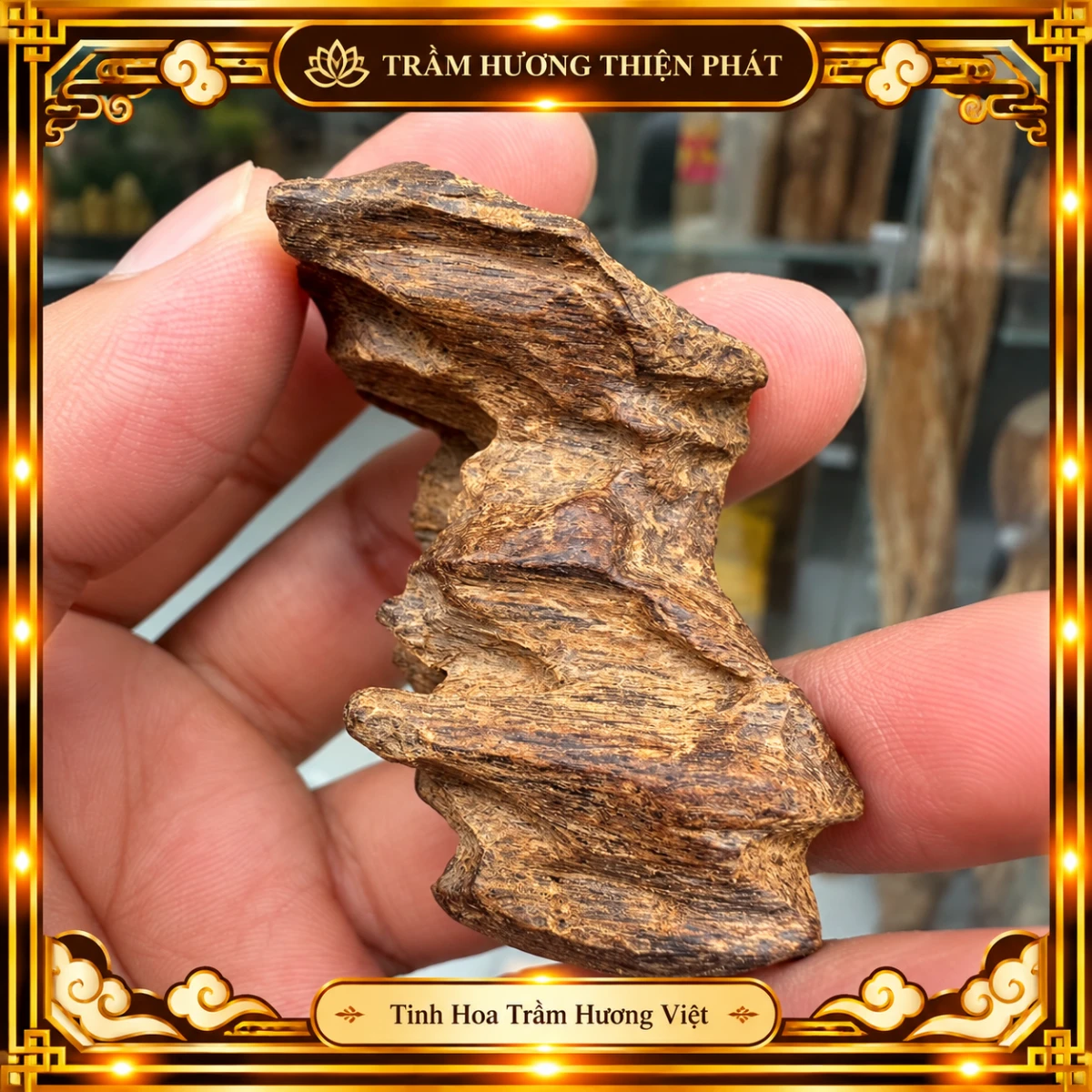 Trầm Hương Rục Khẩy Chìm Cũ