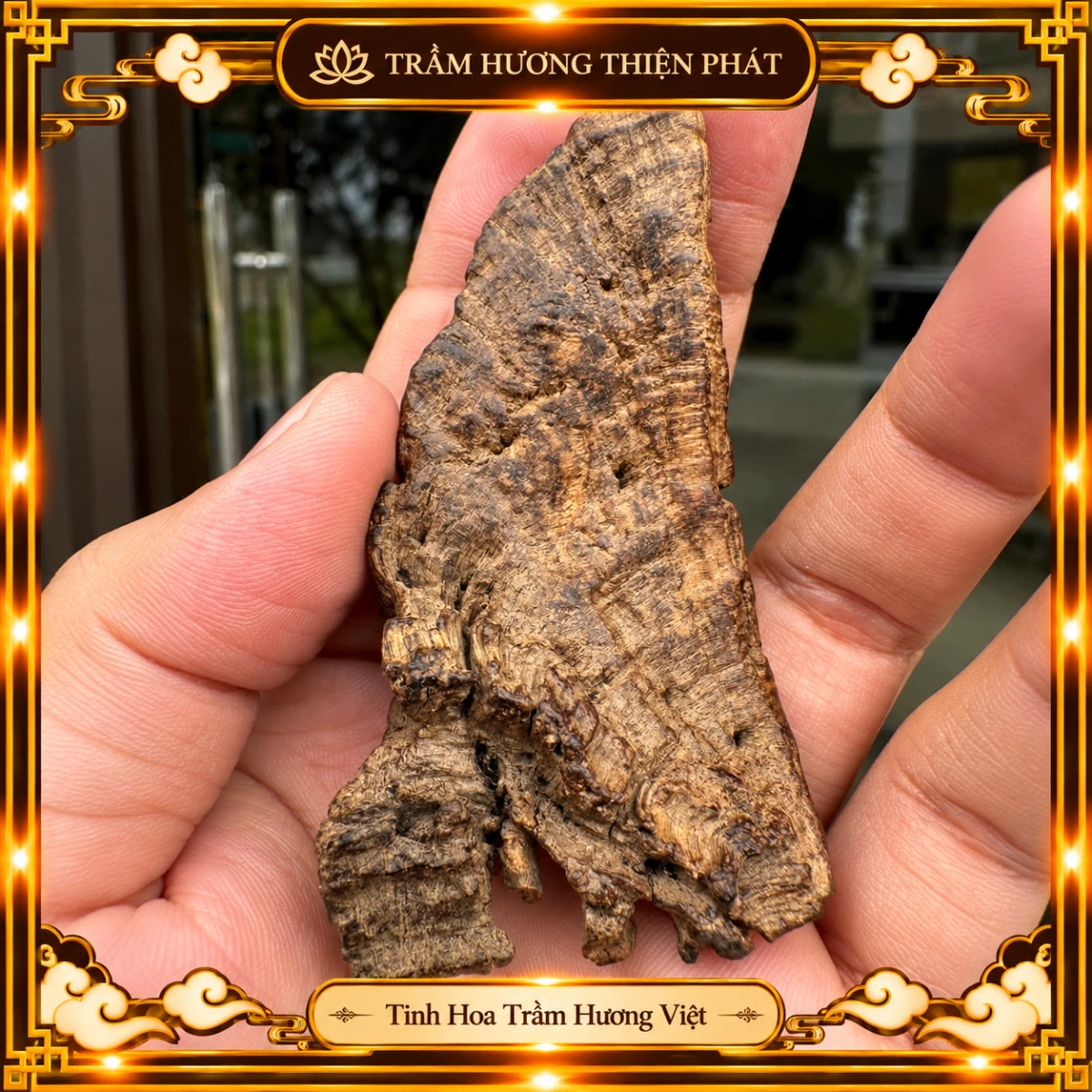 Trầm hương rục vàng Phước Sơn - Trầm Hương Thiện Phát
